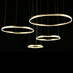 Люстра подвесная светодиодная Jewelry Ring варинант исполнения - 4 | Loft Concept в Ижевске