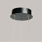 Люстра с прозрачным волнистым плафоном в форме цветка Ethereal Bloom варинант исполнения - 11 | Loft Concept в Ижевске