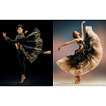Книга New York City Ballet: Choreography and Couture варинант исполнения - 1 | Loft Concept в Ижевске