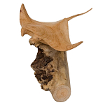 Статуэтка из дерева скат Animals of the World варинант исполнения - 2 | Loft Concept в Ижевске