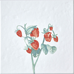 Плитка с узором Земляника варинант исполнения - 2 | Loft Concept в Ижевске