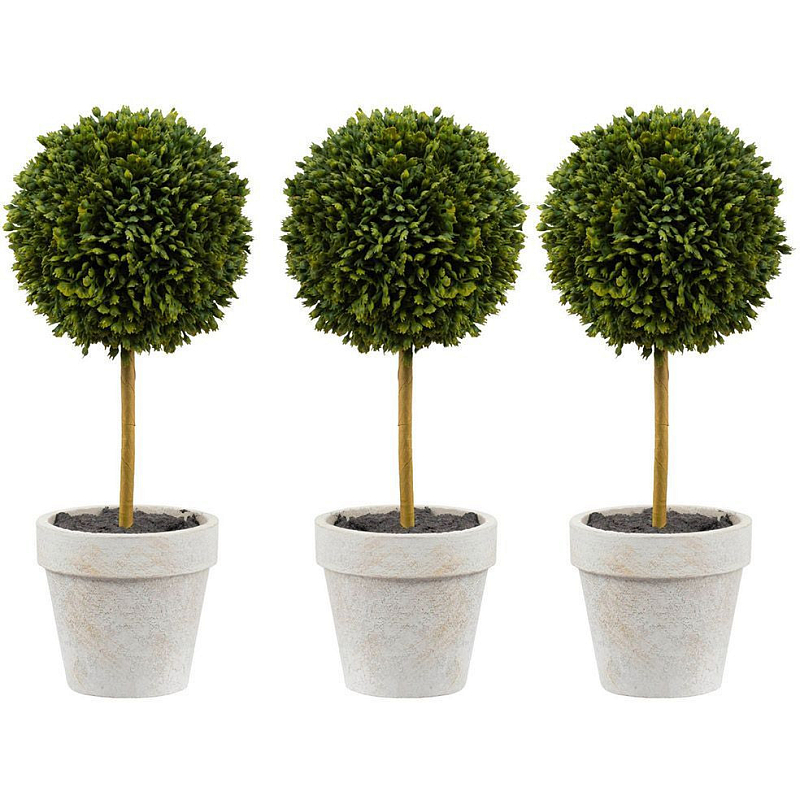 Декоративный искусственное растение Boxwood One Зеленый Бежевый Коричневый Декоративный искусственное растение Boxwood One Зеленый Бежевый Коричневый в Ижевске | Loft Concept