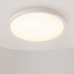 Потолочный светильник Incognito 2700-4000К 46Вт варинант исполнения - 4 | Loft Concept в Ижевске