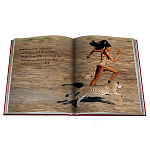 Лимитированная подарочная большая книга CARTIER Panthère варинант исполнения - 12 | Loft Concept в Ижевске