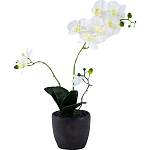 Декоративный искусственное растение Angel Orchid варинант исполнения - 1 | Loft Concept в Ижевске