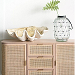 Блюдо декоративное в виде ракушки Seashell варинант исполнения - 1 | Loft Concept в Ижевске