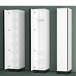 Шкаф-пенал белый с зеркальной дверцей Strict Lines варинант исполнения - 5 | Loft Concept в Ижевске