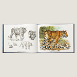 Лимитированная подарочная книга HERMES Fierce and Fragile book, English version варинант исполнения - 2 | Loft Concept в Ижевске