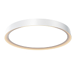 Потолочный светильник Incognito 2700-4000К 46Вт варинант исполнения - 1 | Loft Concept в Ижевске