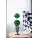 Декоративный искусственное растение Double boxwood варинант исполнения - 5 | Loft Concept в Ижевске