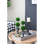 Декоративный искусственное растение Double boxwood варинант исполнения - 8 | Loft Concept в Ижевске