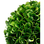 Декоративный искусственное растение Single boxwood варинант исполнения - 2 | Loft Concept в Ижевске