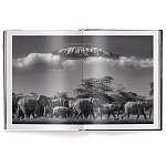 Книга Beusker. Look into my Eyes варинант исполнения - 2 | Loft Concept в Ижевске