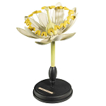 Статуэтка Tilia варинант исполнения - 3 | Loft Concept в Ижевске