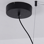 Люстра подвесная светодиодная черный металл Ring Horizontal варинант исполнения - 13 | Loft Concept в Ижевске