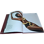 Коллекционная книга Art in Vogue варинант исполнения - 1 | Loft Concept в Ижевске