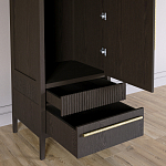 Узкий Шкаф Primo с 2 выдвижными ящиками Темный орех варинант исполнения - 5 | Loft Concept в Ижевске