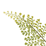 Декоративный искусственное растение Dried flower варинант исполнения - 3 | Loft Concept в Ижевске