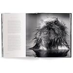 Книга Beusker. Look into my Eyes варинант исполнения - 3 | Loft Concept в Ижевске