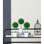 Декоративный искусственное растение Boxwood One варинант исполнения - 9 | Loft Concept в Ижевске