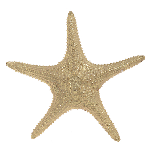 Статуэтка Starfish Gold 27
