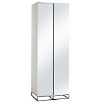 Двухдверный шкаф с зеркальными дверцами Strict Lines варинант исполнения - 5 | Loft Concept в Ижевске