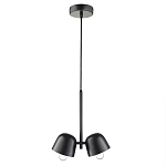 Подвесной светильник черный с 2-мя плафонами Pendant lamp Black варинант исполнения - 1 | Loft Concept в Ижевске