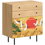 Комод с принтом на ящиках Elise Chest of Drawers варинант исполнения - 4 | Loft Concept в Ижевске