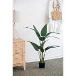 Декоративный искусственное растение Decor Stile  варинант исполнения - 3 | Loft Concept в Ижевске