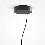 Подвесной светильник Rare grapes варинант исполнения - 4 | Loft Concept в Ижевске