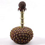 Статуэтка тропический фрукт Pandora Tropical Fruit Brown варинант исполнения - 2 | Loft Concept в Ижевске