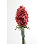 Статуэтка тропический фрукт Pandora Tropical Fruit Orange Red Round варинант исполнения - 3 | Loft Concept в Ижевске