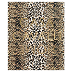 Редкое коллекционное издание Casa Cavalli Home: Celebrating the Roberto Cavalli Lifestyle Леопард варинант исполнения - 1 | Loft Concept в Ижевске