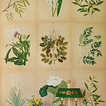 Обои ручная роспись Botanical Studies Linnaeus colourway варинант исполнения - 3 | Loft Concept в Ижевске