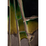 Панно «Амазония» варинант исполнения - 3 | Loft Concept в Ижевске