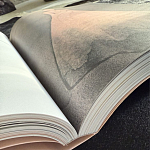 Лимитированное издание Иллюстрации модного дома Book: Dior par Mats Gustafson Vol. II Maria Grazia Chiuri варинант исполнения - 3 | Loft Concept в Ижевске