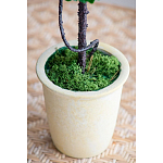 Декоративный искусственное растение Single boxwood варинант исполнения - 6 | Loft Concept в Ижевске