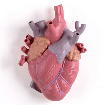 Ваза Seletti Love in Bloom Vase Color