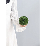 Декоративный искусственное растение Small boxwood варинант исполнения - 3 | Loft Concept в Ижевске