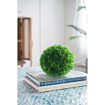 Декоративный искусственное растение Round boxwood варинант исполнения - 6 | Loft Concept в Ижевске