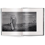 Книга Beusker. Look into my Eyes варинант исполнения - 1 | Loft Concept в Ижевске