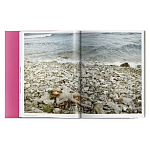 Книга Gisele Bundchen варинант исполнения - 9 | Loft Concept в Ижевске