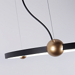 Люстра подвесная светодиодная черный металл Ring Horizontal варинант исполнения - 4 | Loft Concept в Ижевске