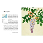 Прекрасно иллюстрированная книга более 100 ботанических произведений Plant Hunters Atlas варинант исполнения - 4 | Loft Concept в Ижевске