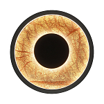 Бра круглое Gold Sun Lighting  варинант исполнения - 1 | Loft Concept в Ижевске