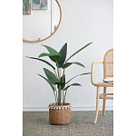 Декоративный искусственное растение Decor Stile  варинант исполнения - 5 | Loft Concept в Ижевске