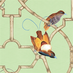 Обои ручная роспись Paradise Trellis Green